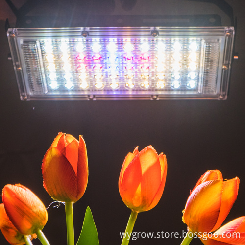 150w Plant Factory Farming led grow light